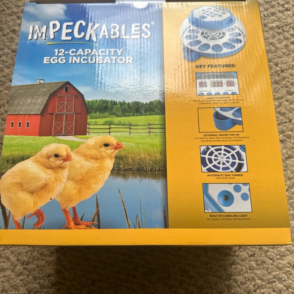 Yellow Egg Incubator for Birds